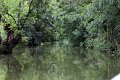 (16) Le Marais Poitevin